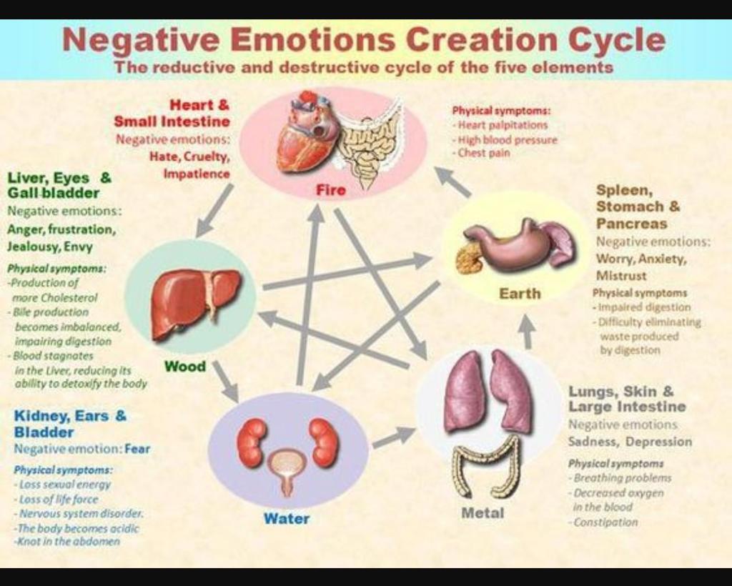 Negative Emotions Creation Cycle between the 5 Elements